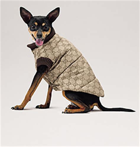 cappotto gucci per cani|Il cappotto doppiopetto per un look invernale .